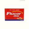 Flucor Day